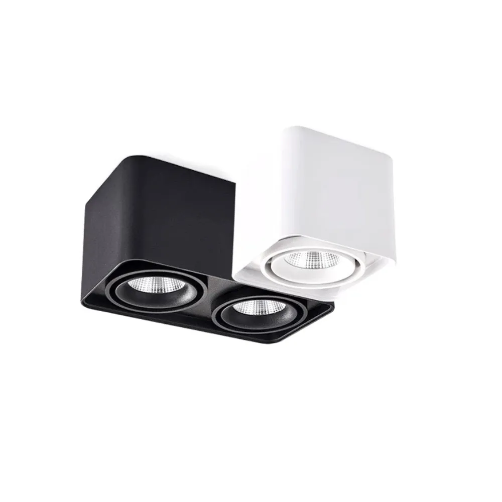 adjustable surface downlights